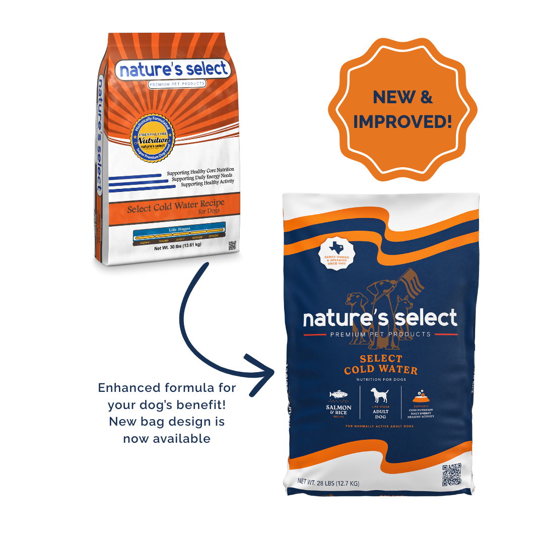 Nature's Select Cold Water Fish Recipe: Premium Solution for Sensitive Dogs