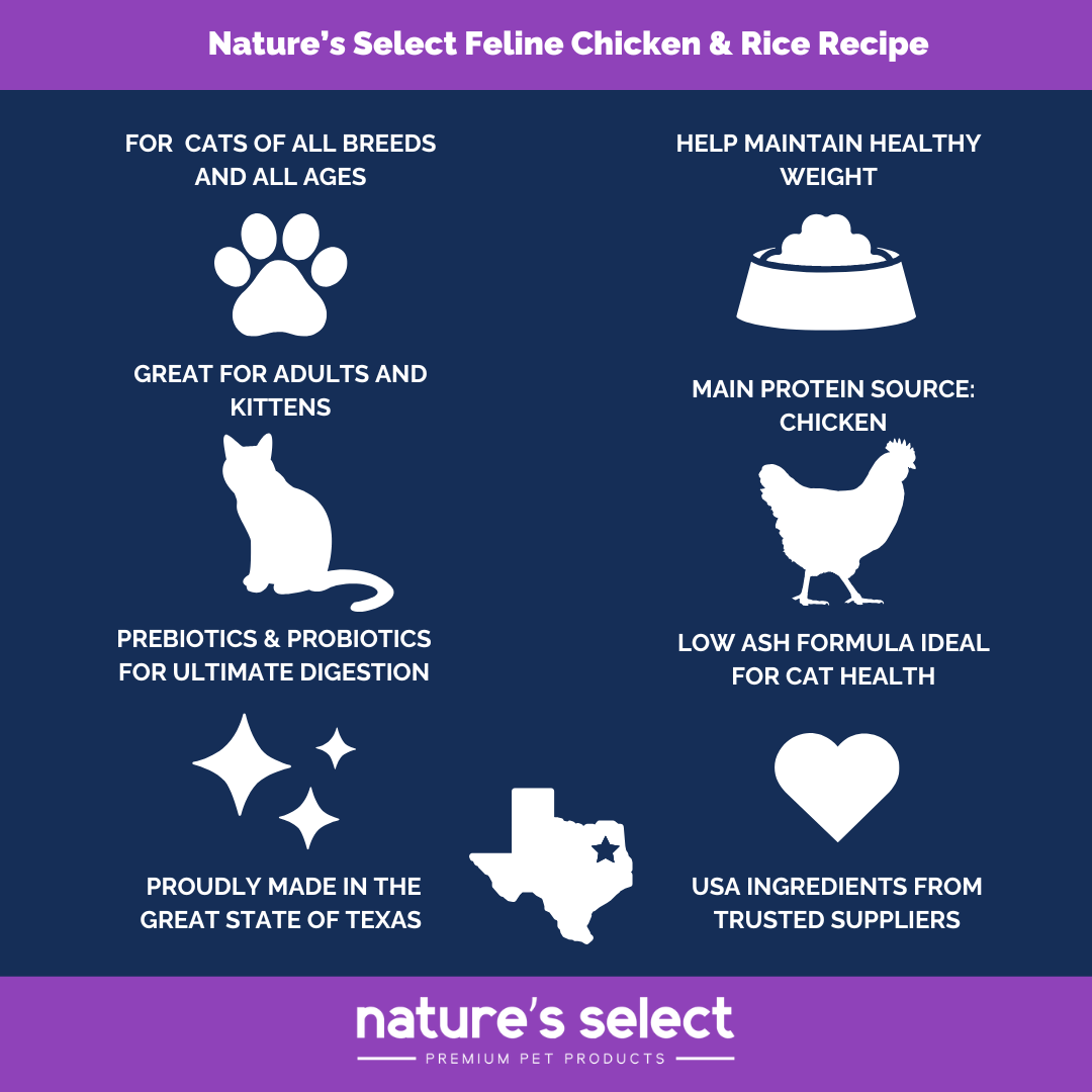 Premium Cat Food: Select Feline Nutrition Formula