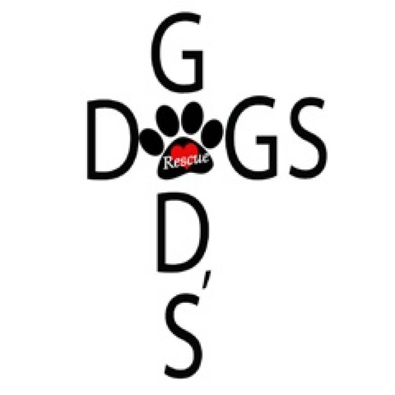 God's Dogs Donation (One 30lb Bag of Food)