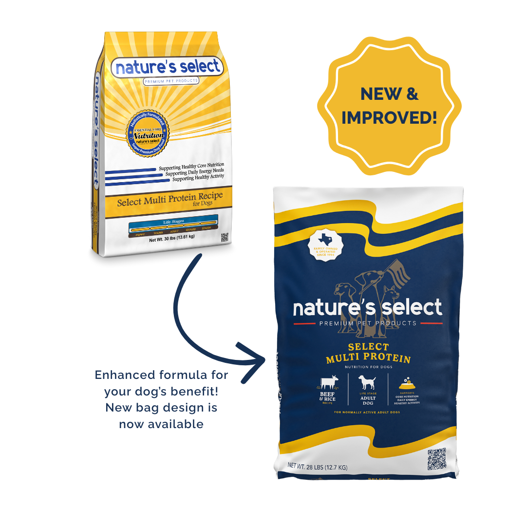 Premium Multi Protein Recipe: Complete Nutrition for Every Life Stage